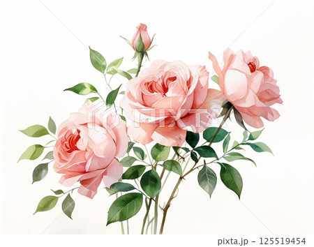 バラのイラスト4｜柔らかな水彩タッチの花イラスト｜春夏にぴったりのフラワーアート 125519454