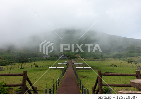 日本の東京都八丈島のとても美しい風景 125519687