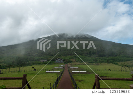 日本の東京都八丈島のとても美しい風景 125519688