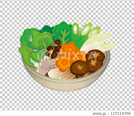 ボウルに盛られたカット野菜のイラスト ボウルに盛られたカット野菜のイラスト 125519700