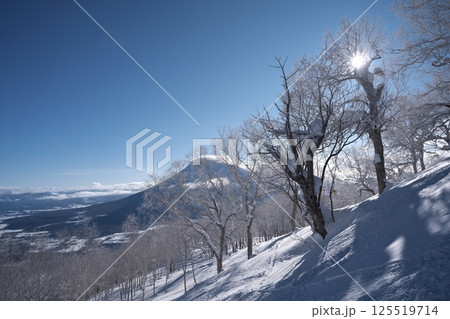 ニセコ東急 グラン・ヒラフ・ゲレンデの林間コースから羊蹄山を望む ニセコ東急 グラン・ヒラフ・ゲレンデの林間コースから羊蹄山を望む 125519714