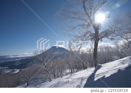 ニセコ東急 グラン・ヒラフ・ゲレンデの林間コースから羊蹄山を望む ニセコ東急 グラン・ヒラフ・ゲレンデの林間コースから羊蹄山を望む 125519719