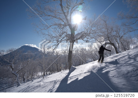 ニセコ東急 グラン・ヒラフ・ゲレンデの林間コースから羊蹄山を望む ニセコ東急 グラン・ヒラフ・ゲレンデの林間コースから羊蹄山を望む 125519720