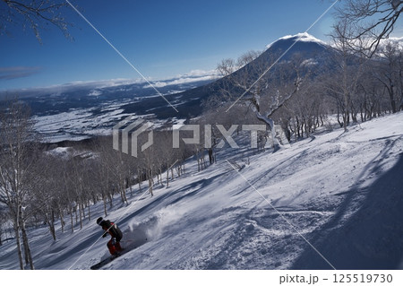 ニセコ東急 グラン・ヒラフ・ゲレンデの林間コースから羊蹄山を望む ニセコ東急 グラン・ヒラフ・ゲレンデの林間コースから羊蹄山を望む 125519730