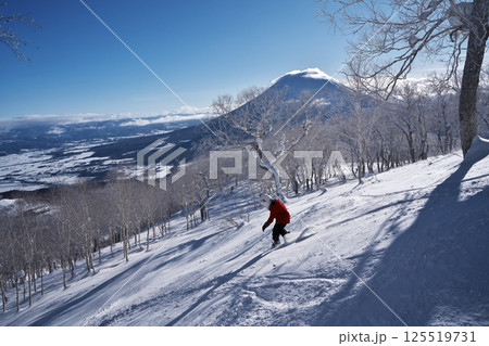ニセコ東急 グラン・ヒラフ・ゲレンデの林間コースから羊蹄山を望む 125519731