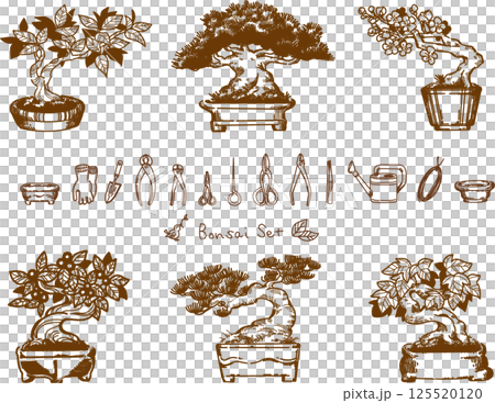 Set of line drawings of bonsai and bonsai tools Set of line drawings of bonsai and bonsai tools 125520120