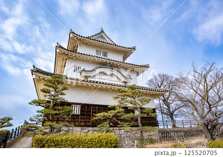 丸亀城の天守の風景（丸亀市） 125520705