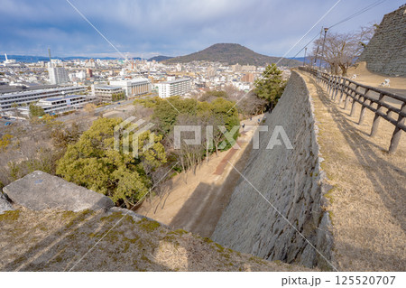 丸亀城の石垣 125520707