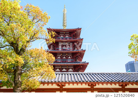 四天王寺　五重塔とクスノキ、回廊　大阪市 125520840