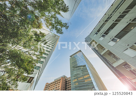 太陽の光が綺麗な東京のビル群 太陽の光が綺麗な東京のビル群 125520843