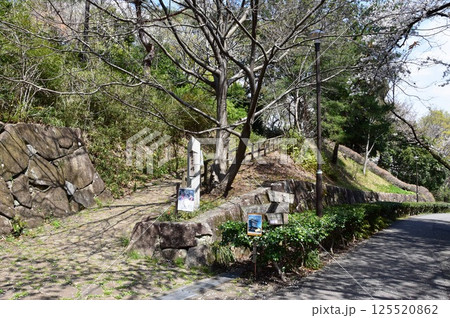 川崎市 生田緑地の七草峠方面散策路と道案内 川崎市 生田緑地の七草峠方面散策路と道案内 125520862