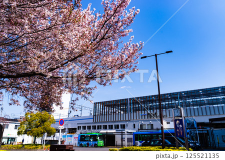桜咲く東村山駅西口駅前 高架化工事中 2025.04　a-2 高彩度コントラスト 125521135