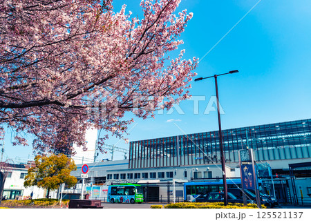 桜咲く東村山駅西口駅前 高架化工事中 2025.04　a-4 ライトカラー 125521137