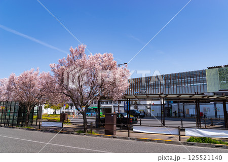 桜咲く東村山駅西口駅前 高架化工事中 2025.04　b-1 125521140