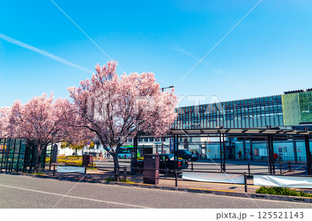 桜咲く東村山駅西口駅前 高架化工事中 2025.04　b-4 ライトカラー 125521143