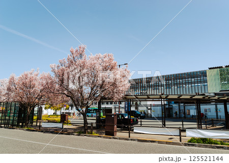 桜咲く東村山駅西口駅前 高架化工事中 2025.04　b-5 フィルム調 125521144