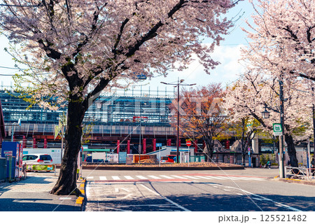 桜咲く高架化工事中の東村山駅東口駅前 2025.04 b-4 ライトカラー 桜咲く高架化工事中の東村山駅東口駅前 2025.04 b-4 ライトカラー 125521482