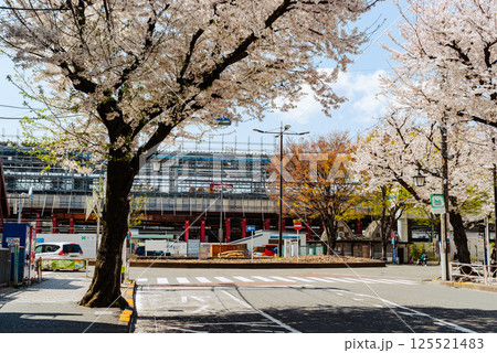 桜咲く高架化工事中の東村山駅東口駅前  2025.04　b-5 フィルム調 125521483