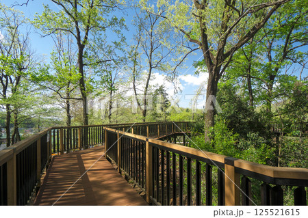 新緑の野山北公園の冒険の森の展望デッキ 125521615