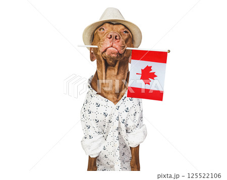 Cute puppy, sun hat and Canadian Flag. 125522106