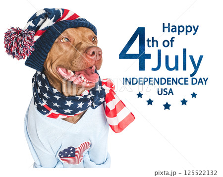 Happy Independence Day. American Flag and cute dog Happy Independence Day. American Flag and cute dog 125522132