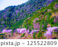 山桜が咲き乱れる山里 125522809