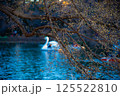 冬の水辺の風景 125522810
