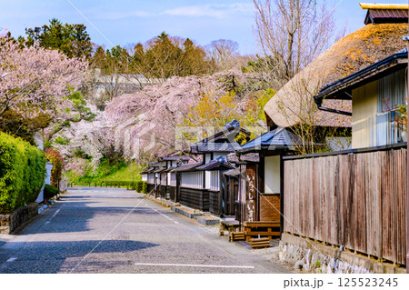 春 宮城の小さな町を歩く (とめしとよままち) 125523245
