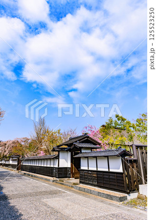 春 宮城の小さな町を歩く (とめしとよままち) 春 宮城の小さな町を歩く (とめしとよままち) 125523250