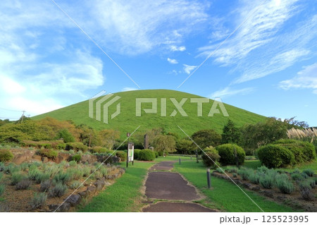 静岡県・伊東市・さくらの里から眺める大室山 静岡県・伊東市・さくらの里から眺める大室山 125523995