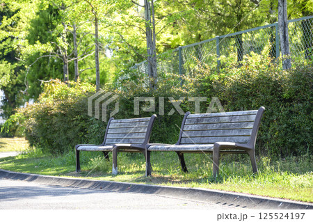 公園のベンチ ベンチ 公園 新緑 公園のベンチ ベンチ 公園 新緑 125524197