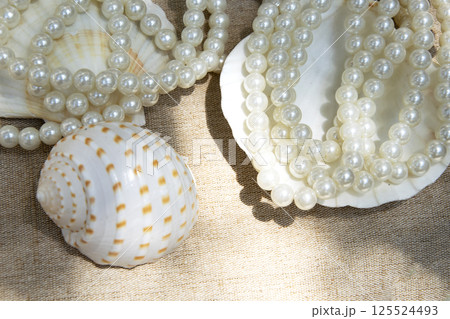Beautiful necklace pearls in shell 125524493