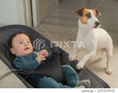 A dog rocks a cute three month old boy dressed in a blue onesie in a baby bouncer. A dog rocks a cute three month old boy dressed in a blue onesie in a baby bouncer. 125524551