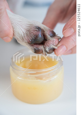 The owner puts wax on the dog's paws.  125524611