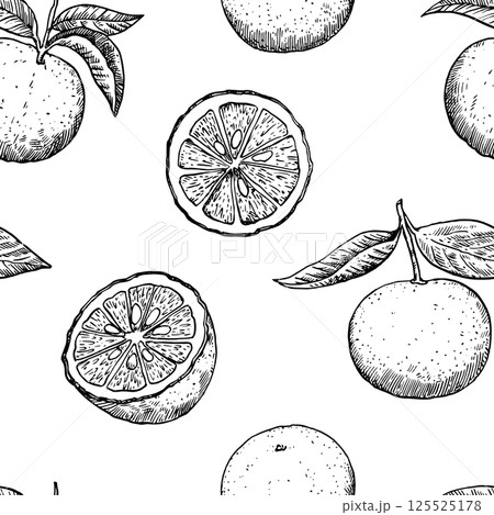 Seamless pattern with yuzu fruits in engraving style. Monochrome outline  illustration. 125525178