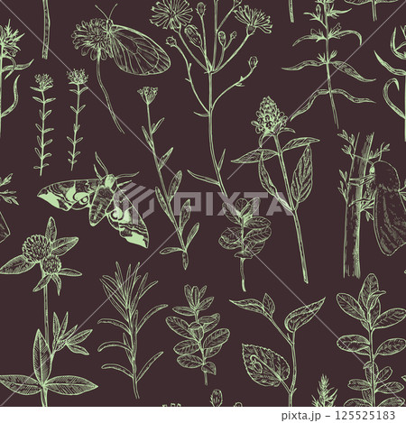 Seamless pattern with forest and meadow plants, flowers and moths. Illustration in engraving style. 125525183