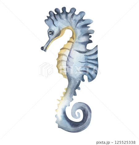 Seahorse watercolor illustration. Hand drawn deep sea and ocean, monochrome blue and beige clipart,	Hippocampus painting for kids poster,card, wallpaper design 125525338