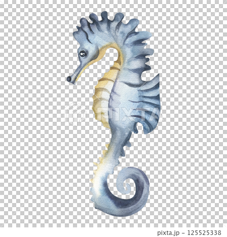 fish, watercolor, turtle 125525338