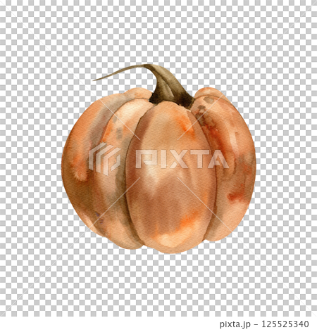 Orange autumn pumpkin watercolor illusration.Isolated seasonal vegetable clipart in gothic style, fall vegan food painting for Halloween poster, card,thanksgiving design 125525340