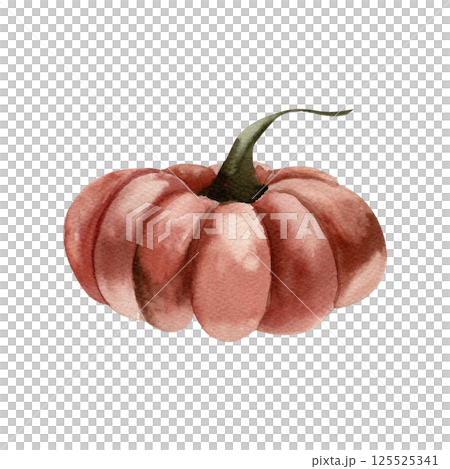 Autumn red pumpkin gothic watercolor illustration. Hand drawn isolated fall seasonal vegetable,harvest and thanksgiving day clipart for poster,card,packing design.Halloween scary element 125525341