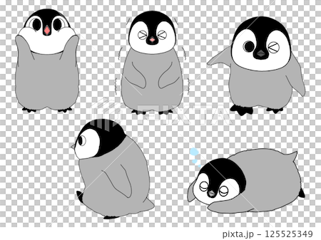 皇帝ペンギン赤ちゃん5ポーズセット 125525349