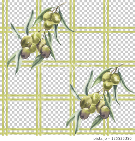 Olives branches on green plaid background watercolor seamless pattern. Hand drawn vegan eco food clipart for home and kitchen textile, fabric, Tuscany style wallpaper design 125525350