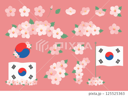Vector illustration of Rose of Sharon and Korean flag. 125525363