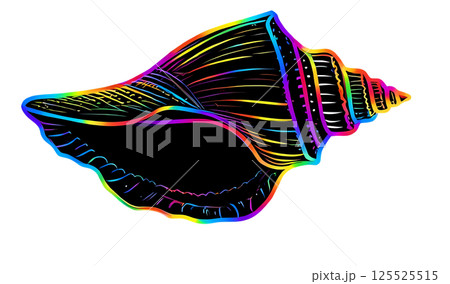 Conch Conch 125525515