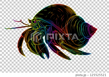 Hermit Crab Hermit Crab 125525521