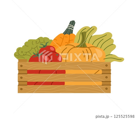 Wooden crate filled with fresh vegetable like tomatoes, pumpkins, carrots and lettuce. Farmer and gardener box with ripe harvest for farm markets, organic food stores, and sustainable agriculture 125525598
