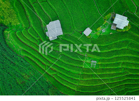 Vibrant rural landscape of Thailand with traditional homes, winding footpaths, and green rice terraces under a soft sky, ideal for promoting homestays, eco living, and sustainable agriculture. 125525841