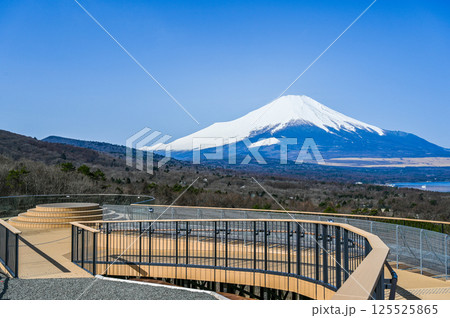 山梨県パノラマ台からの山中湖と富士山 125525865