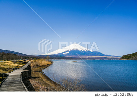 山梨県の山中湖と富士山 125525869