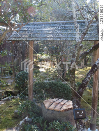 古民家、江戸時代後期、重要文化財、永富家住宅の庭の井戸、兵庫県たつの市揖保川町新在家町 古民家、江戸時代後期、重要文化財、永富家住宅の庭の井戸、兵庫県たつの市揖保川町新在家町 125526016